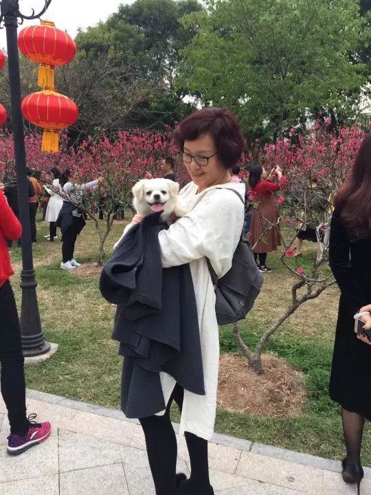 58歲的她，自駕房車旅居，一人兩犬，活成了自己喜歡的樣子